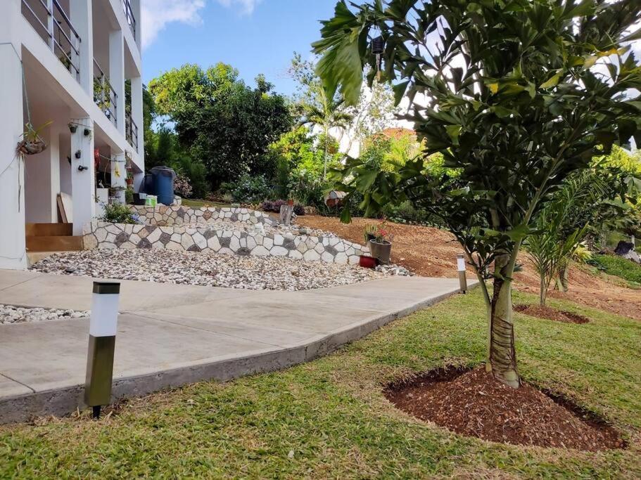 The Willow Apartment Ocho Rios Ngoại thất bức ảnh