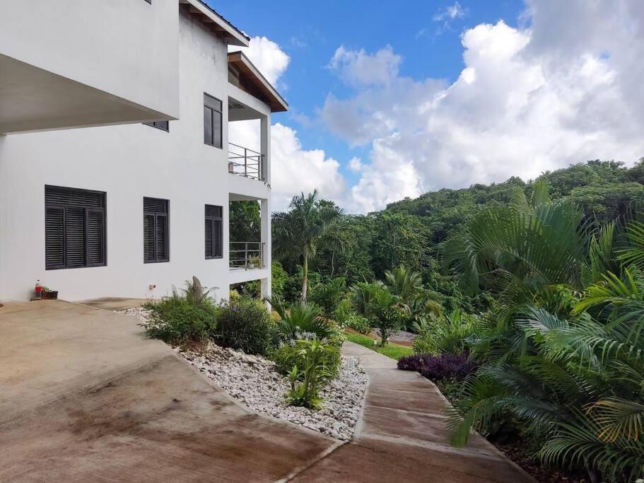 The Willow Apartment Ocho Rios Ngoại thất bức ảnh