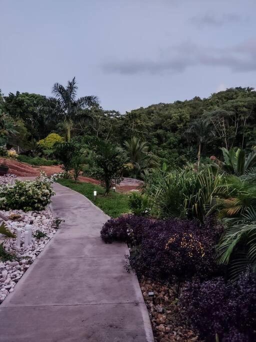 The Willow Apartment Ocho Rios Ngoại thất bức ảnh