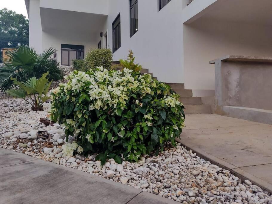 The Willow Apartment Ocho Rios Ngoại thất bức ảnh