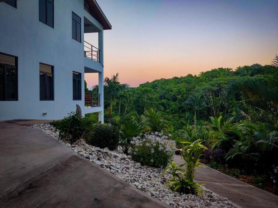 The Willow Apartment Ocho Rios Ngoại thất bức ảnh